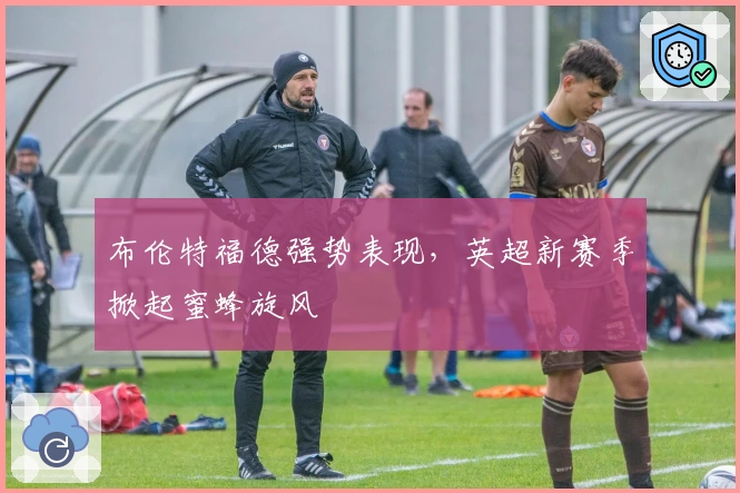 布伦特福德强势表现，英超新赛季掀起蜜蜂旋风
