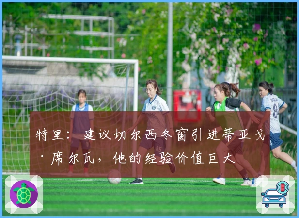 特里：建议切尔西冬窗引进蒂亚戈·席尔瓦，他的经验价值巨大