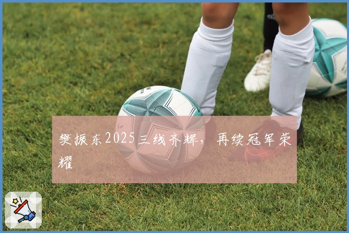 樊振东2025三线齐辉，再续冠军荣耀