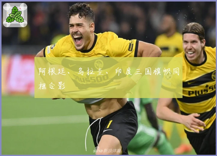 阿根廷、乌拉圭、印度三国旗帜同框合影